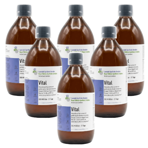 6 Flaschen Vital